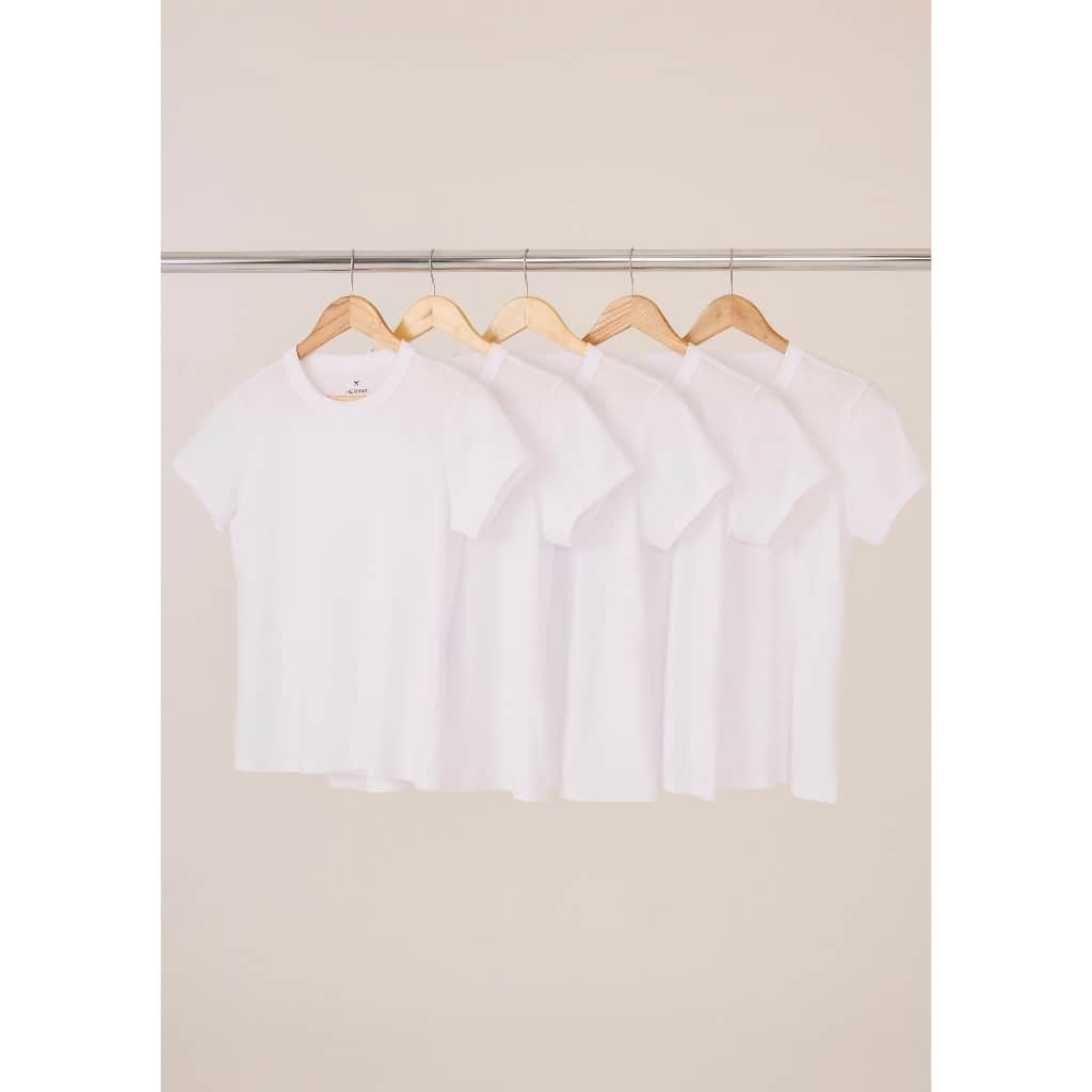 Kit Com 5 Camisetas Femininas Básicas Slim Hering