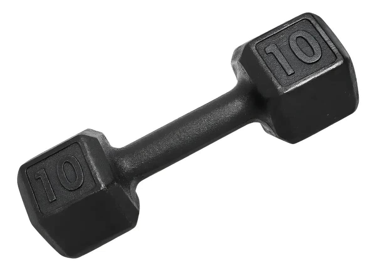 Halter 10kg Sextavado Dumbbell Exagonal Academia Treino