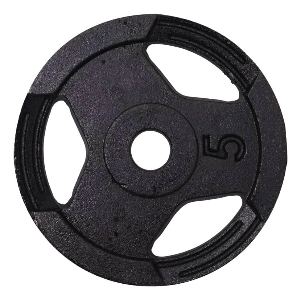 Anilha Sport 31mm Pintada 5kg Crossfit Treino Fitness Gym