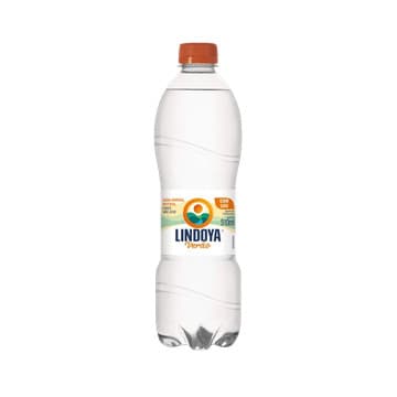 Água Mineral Lindoya Verão com Gás