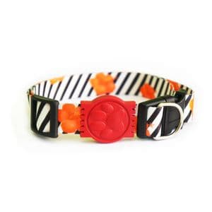 Coleira para Cães Floral Alvorada