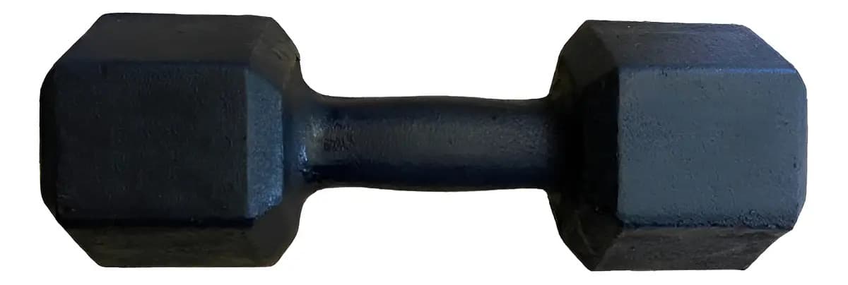 Halter Sextavado Pintado 10kg Academia Treino Musculação