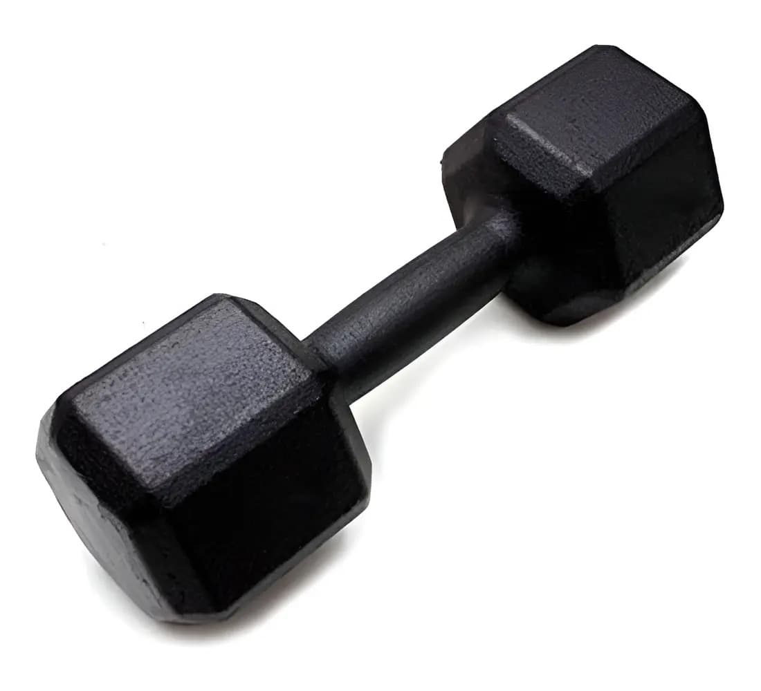 Halter 10kg Sextavado Pintado Para Treino